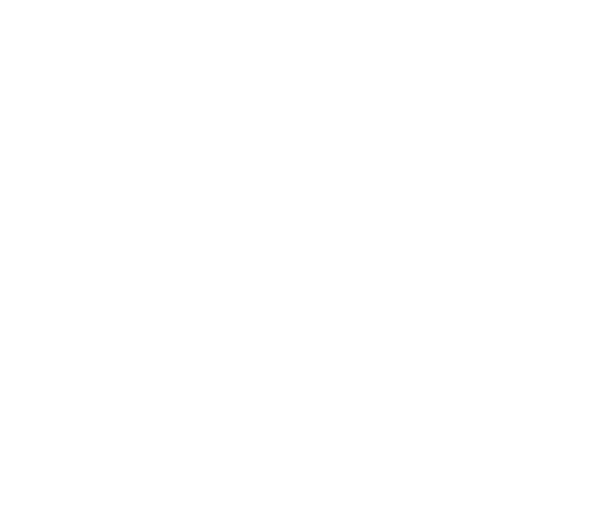 Мир суши роллов